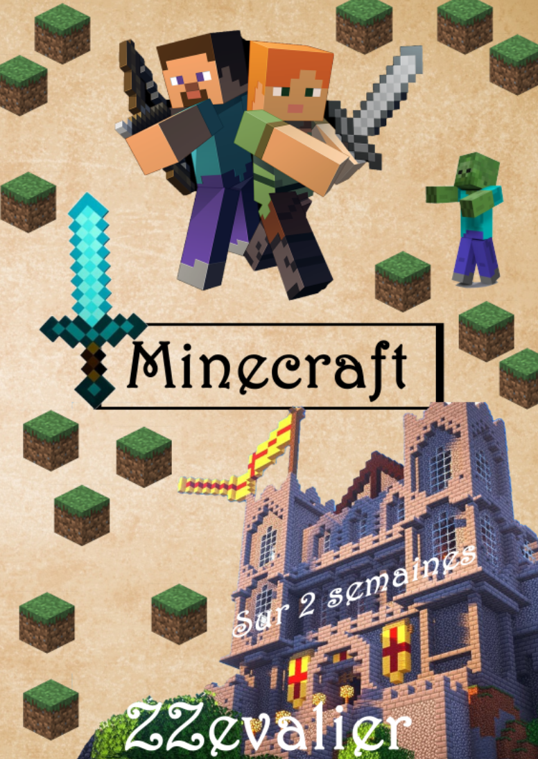 serveur_minecraft.png